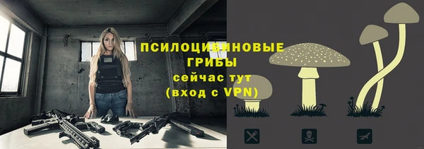 мескалин Переславль-Залесский