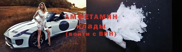 дживик Пересвет