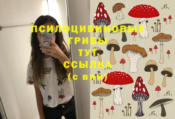 мескалин Переславль-Залесский