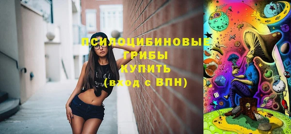 мескалин Переславль-Залесский