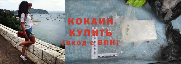 дживик Пересвет