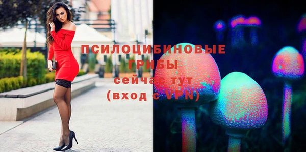 соль курить ск Пестово