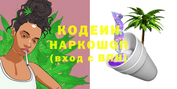 дживик Пересвет