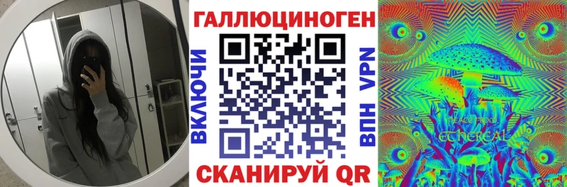 это телеграм Светлогорск Галлюциногенные грибы Magic Shrooms