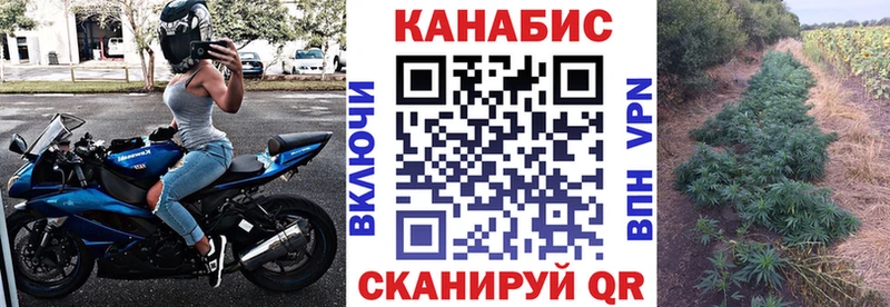 дарнет шоп  гидра tor  Бошки марихуана план  Светлогорск 